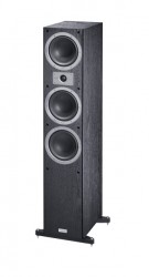 Magnat Tempus 77